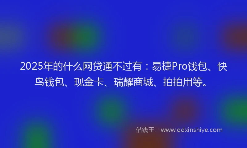 2025年的什么网贷通不过有：易捷Pro钱包、快鸟钱包、现金卡、瑞耀商城、拍拍用等。