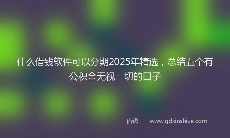 什么借钱软件可以分期2025年精选，总结五个有公积金无视一切的口子