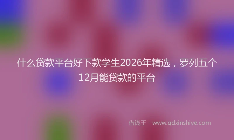 什么贷款平台好下款学生2026年精选，罗列五个12月能贷款的平台