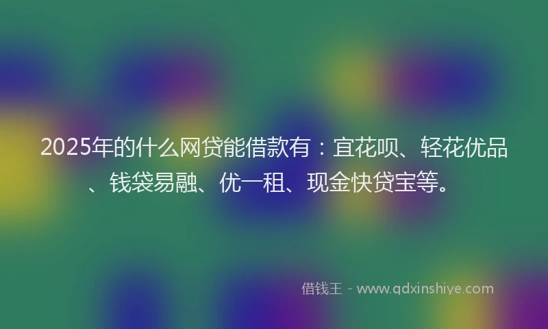 2025年的什么网贷能借款有：宜花呗、轻花优品、钱袋易融、优一租、现金快贷宝等。