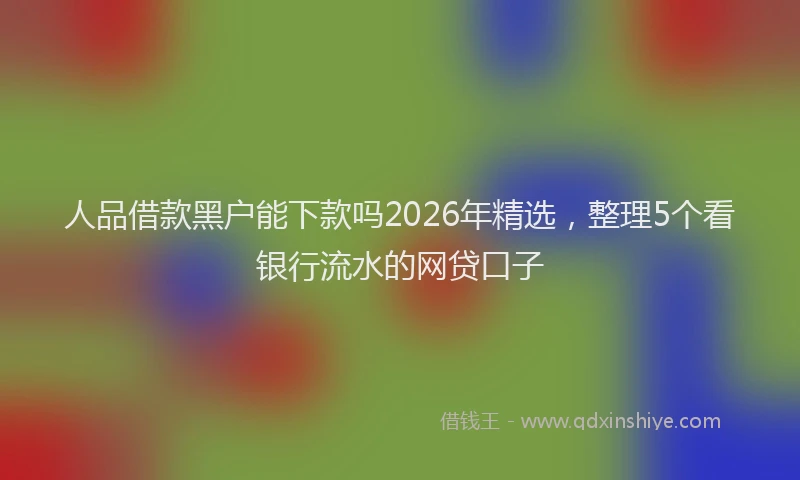 人品借款黑户能下款吗2026年精选，整理5个看银行流水的网贷口子