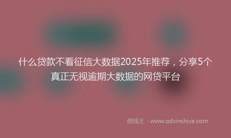 什么贷款不看征信大数据2025年推荐,分享5个真正无视逾期大数据的网贷平台