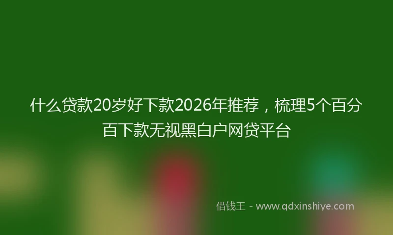 什么贷款20岁好下款2026年推荐，梳理5个百分百下款无视黑白户网贷平台