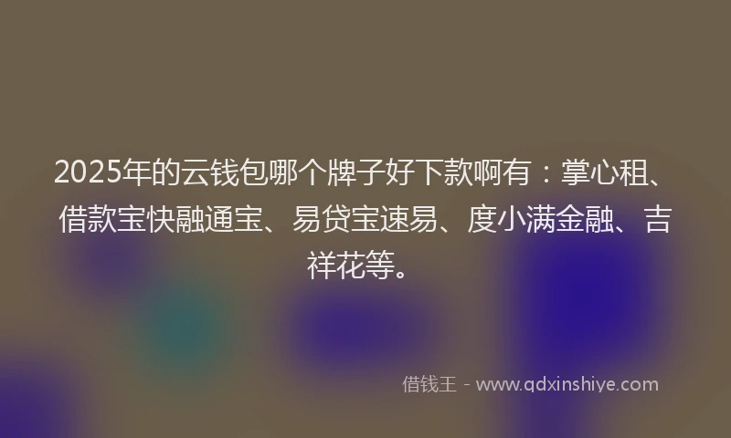 2025年的云钱包哪个牌子好下款啊有:掌心租、借款宝快融通宝、易贷宝速易、度小满金融、吉祥花等。