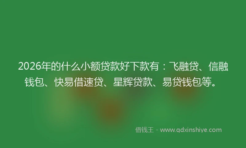 2026年的什么小额贷款好下款有：飞融贷、信融钱包、快易借速贷、星辉贷款、易贷钱包等。