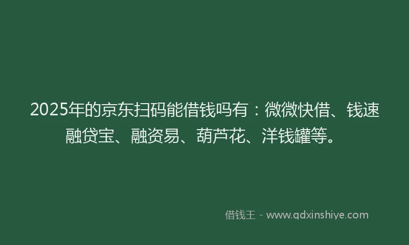 2025年的京东扫码能借钱吗有：微微快借、钱速融贷宝、融资易、葫芦花、洋钱罐等。
