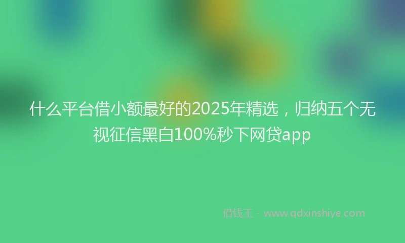 什么平台借小额最好的2025年精选，归纳五个无视征信黑白100%秒下网贷app