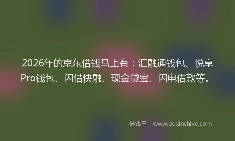 2026年的京东借钱马上有：汇融通钱包、悦享Pro钱包、闪借快融、现金贷宝、闪电借款等。