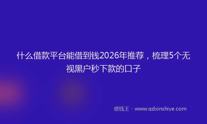 什么借款平台能借到钱2026年推荐，梳理5个无视黑户秒下款的口子