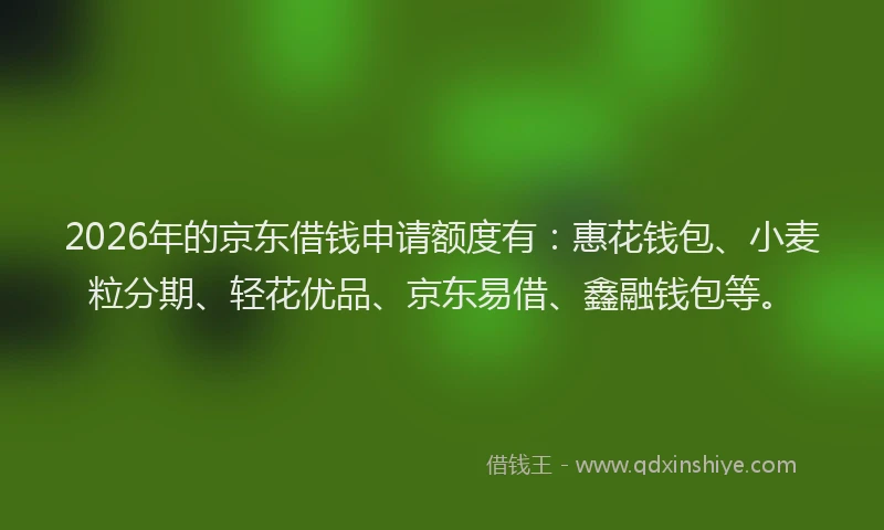2026年的京东借钱申请额度有：惠花钱包、小麦粒分期、轻花优品、京东易借、鑫融钱包等。