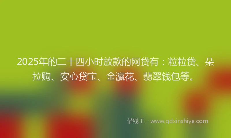 2025年的二十四小时放款的网贷有：粒粒贷、朵拉购、安心贷宝、金瀛花、翡翠钱包等。