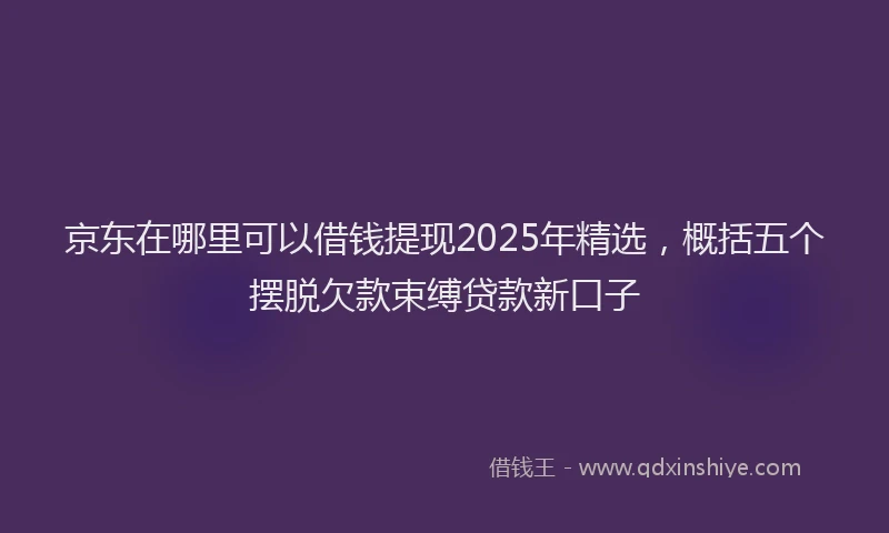 京东在哪里可以借钱提现2025年精选，概括五个摆脱欠款束缚贷款新口子