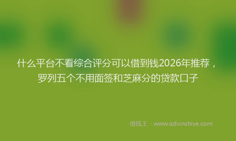 什么平台不看综合评分可以借到钱2026年推荐，罗列五个不用面签和芝麻分的贷款口子
