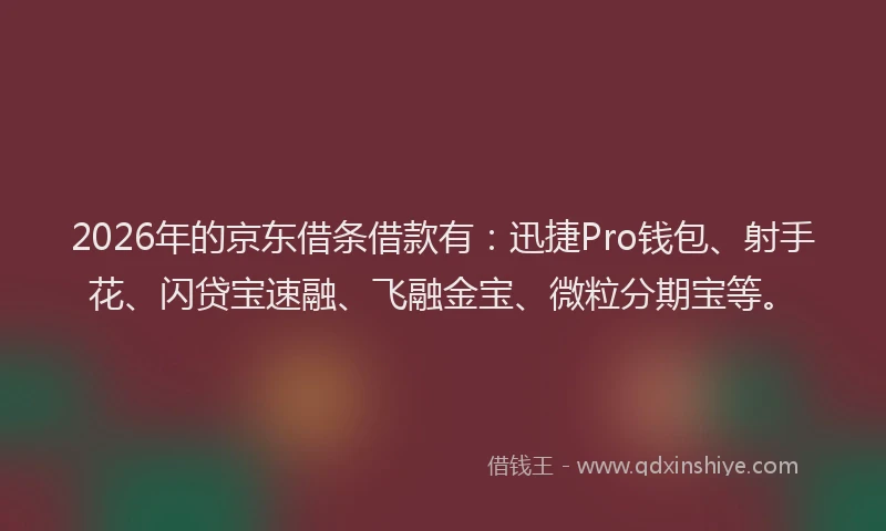 2026年的京东借条借款有：迅捷Pro钱包、射手花、闪贷宝速融、飞融金宝、微粒分期宝等。