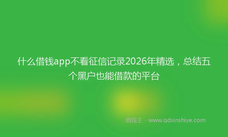 什么借钱app不看征信记录2026年精选，总结五个黑户也能借款的平台