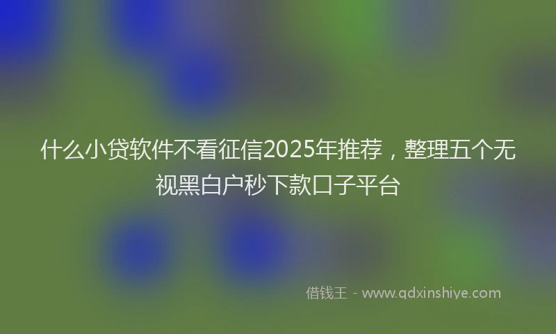 什么小贷软件不看征信2025年推荐，整理五个无视黑白户秒下款口子平台
