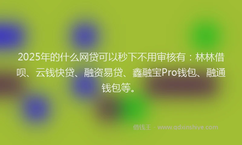 2025年的什么网贷可以秒下不用审核有：林林借呗、云钱快贷、融资易贷、鑫融宝Pro钱包、融通钱包等。