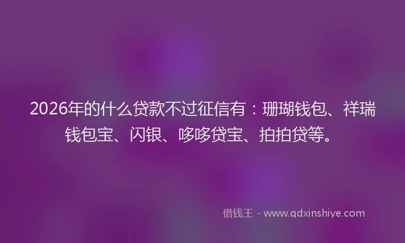 2026年的什么贷款不过征信有:珊瑚钱包、祥瑞钱包宝、闪银、哆哆贷宝、拍拍贷等。