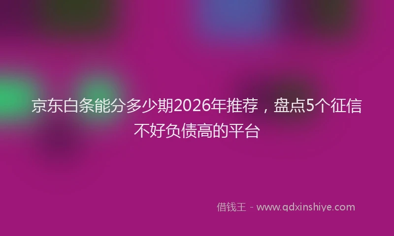 京东白条能分多少期2026年推荐，盘点5个征信不好负债高的平台
