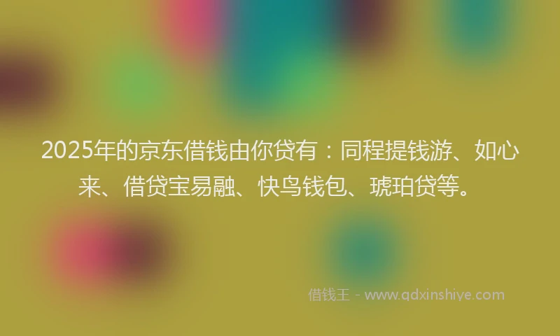 2025年的京东借钱由你贷有：同程提钱游、如心来、借贷宝易融、快鸟钱包、琥珀贷等。