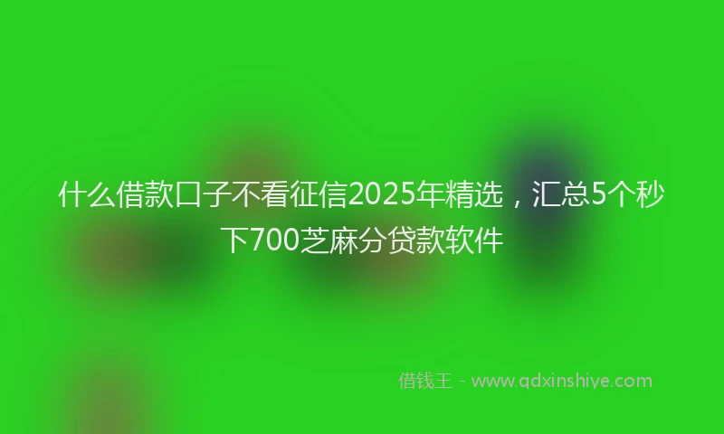 什么借款口子不看征信2025年精选，汇总5个秒下700芝麻分贷款软件