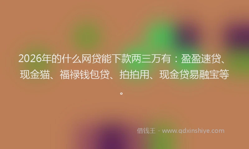 2026年的什么网贷能下款两三万有：盈盈速贷、现金猫、福禄钱包贷、拍拍用、现金贷易融宝等。