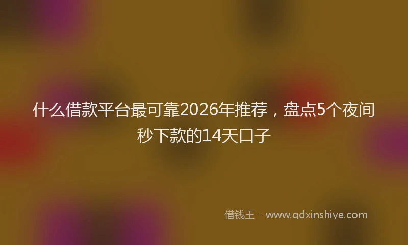 什么借款平台最可靠2026年推荐，盘点5个夜间秒下款的14天口子