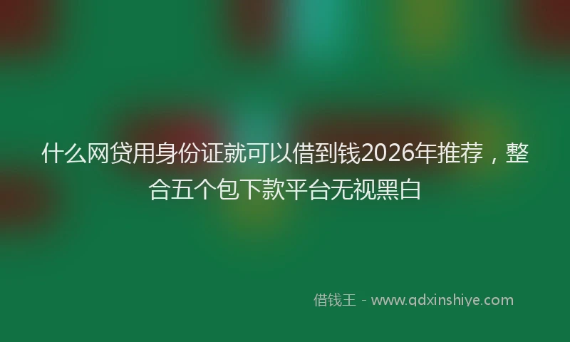 什么网贷用身份证就可以借到钱2026年推荐，整合五个包下款平台无视黑白