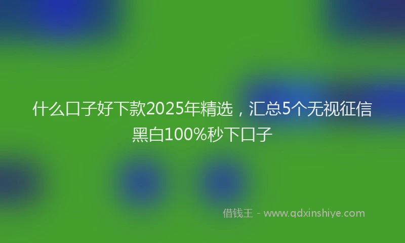什么口子好下款2025年精选，汇总5个无视征信黑白100%秒下口子