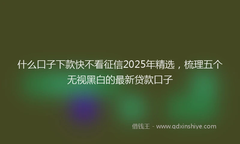 什么口子下款快不看征信2025年精选，梳理五个无视黑白的最新贷款口子