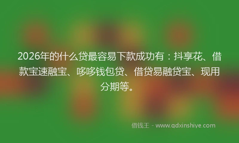 2026年的什么贷最容易下款成功有：抖享花、借款宝速融宝、哆哆钱包贷、借贷易融贷宝、现用分期等。