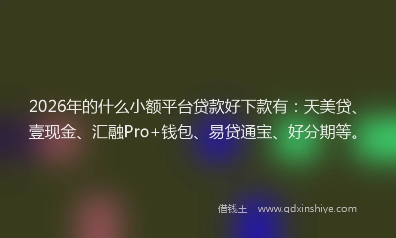 2026年的什么小额平台贷款好下款有：天美贷、壹现金、汇融Pro+钱包、易贷通宝、好分期等。