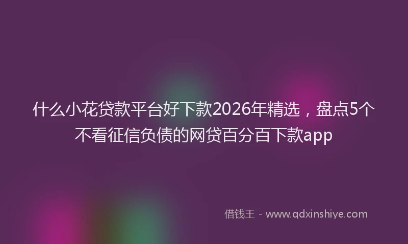 什么小花贷款平台好下款2026年精选，盘点5个不看征信负债的网贷百分百下款app