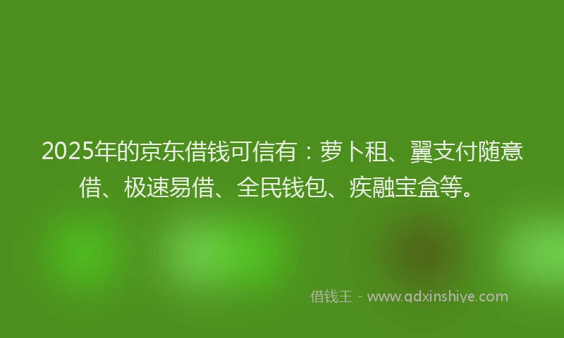 2025年的京东借钱可信有:萝卜租、翼支付随意借、极速易借、全民钱包、疾融宝盒等。