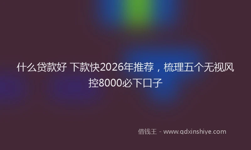什么贷款好 下款快2026年推荐,梳理五个无视风控8000必下口子
