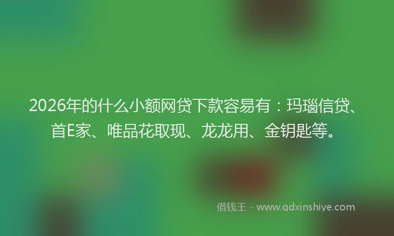 2026年的什么小额网贷下款容易有：玛瑙信贷、首E家、唯品花取现、龙龙用、金钥匙等。