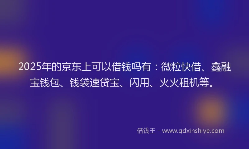 2025年的京东上可以借钱吗有：微粒快借、鑫融宝钱包、钱袋速贷宝、闪用、火火租机等。