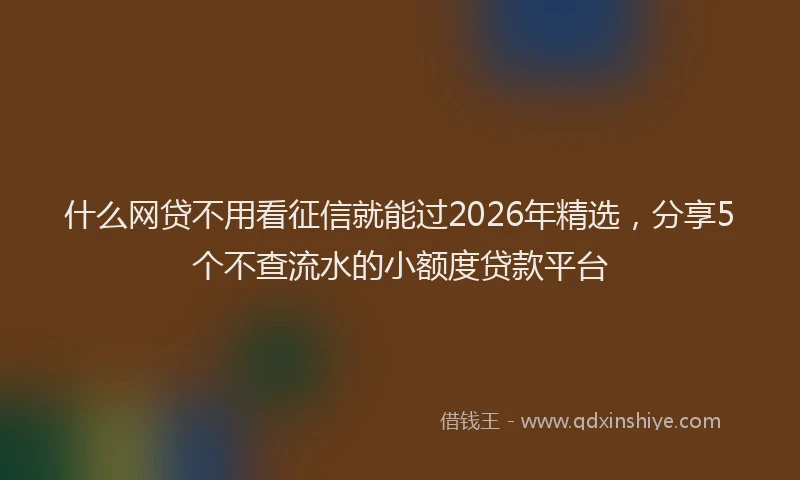 什么网贷不用看征信就能过2026年精选,分享5个不查流水的小额度贷款平台