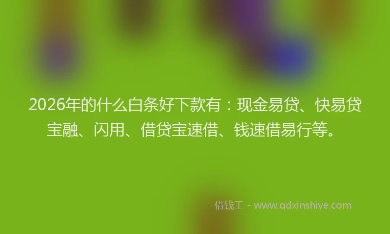 2026年的什么白条好下款有:现金易贷、快易贷宝融、闪用、借贷宝速借、钱速借易行等。