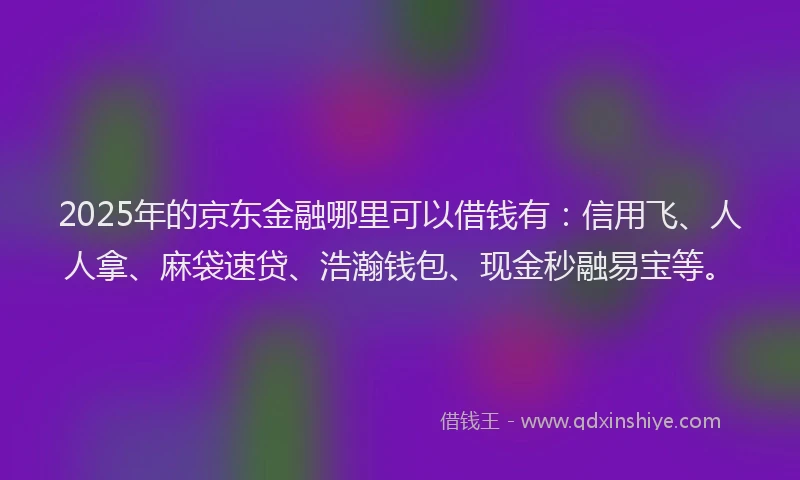 2025年的京东金融哪里可以借钱有：信用飞、人人拿、麻袋速贷、浩瀚钱包、现金秒融易宝等。
