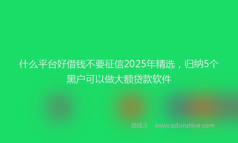 什么平台好借钱不要征信2025年精选，归纳5个黑户可以做大额贷款软件