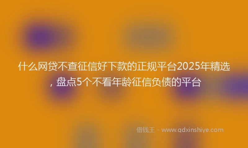 什么网贷不查征信好下款的正规平台2025年精选，盘点5个不看年龄征信负债的平台