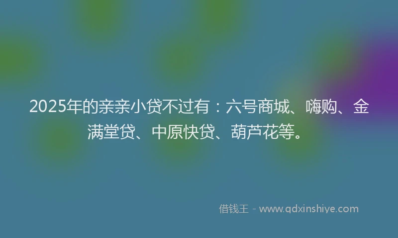 2025年的亲亲小贷不过有：六号商城、嗨购、金满堂贷、中原快贷、葫芦花等。