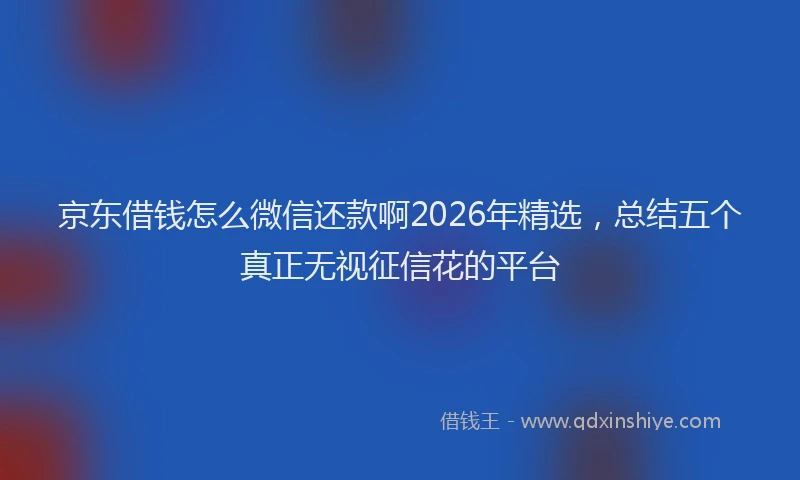 京东借钱怎么微信还款啊2026年精选，总结五个真正无视征信花的平台