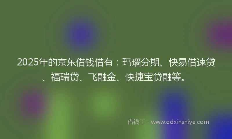 2025年的京东借钱借有：玛瑙分期、快易借速贷、福瑞贷、飞融金、快捷宝贷融等。