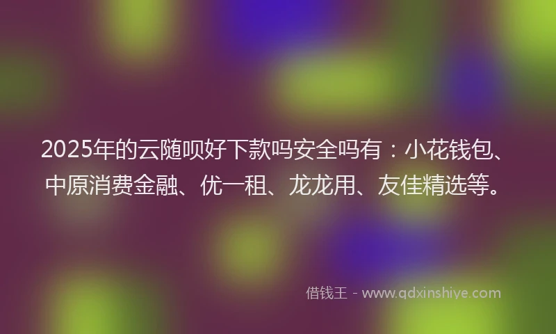 2025年的云随呗好下款吗安全吗有：小花钱包、中原消费金融、优一租、龙龙用、友佳精选等。