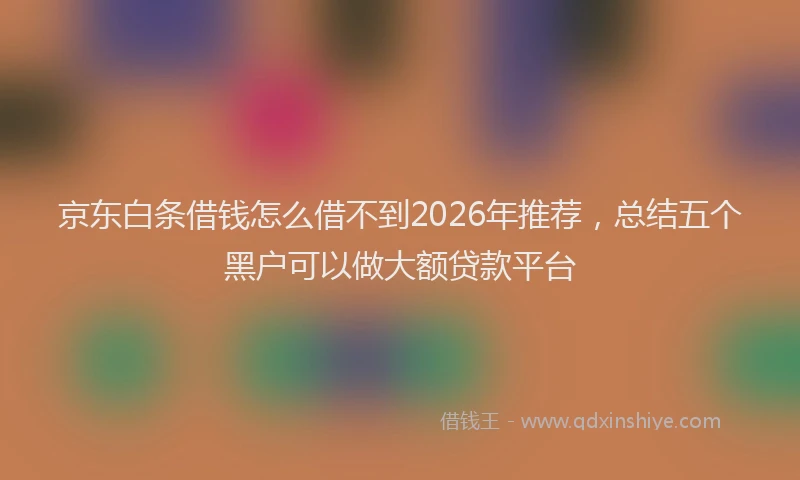 京东白条借钱怎么借不到2026年推荐，总结五个黑户可以做大额贷款平台