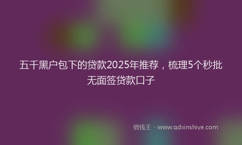 五千黑户包下的贷款2025年推荐，梳理5个秒批无面签贷款口子