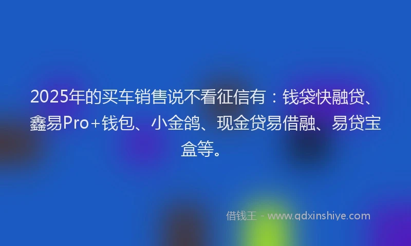 2025年的买车销售说不看征信有：钱袋快融贷、鑫易Pro+钱包、小金鸽、现金贷易借融、易贷宝盒等。