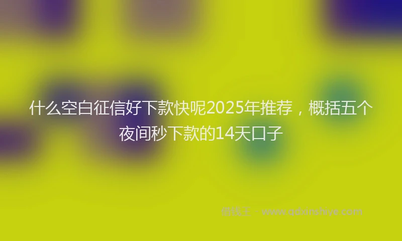 什么空白征信好下款快呢2025年推荐，概括五个夜间秒下款的14天口子